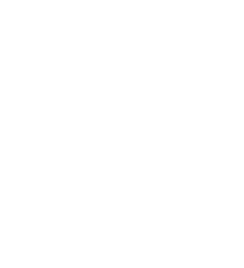 Our Process Icon - 3