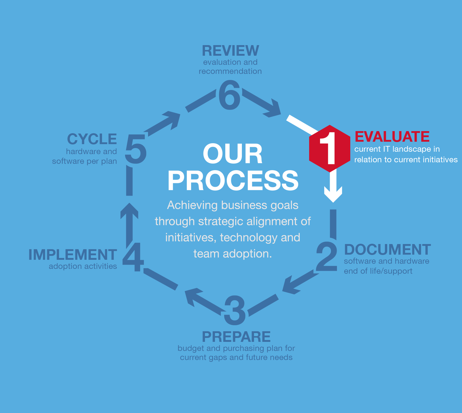 Lifecycle Management Infographic